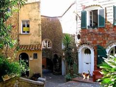 183 D24 BORMES LES MIMOSAS 2_000043